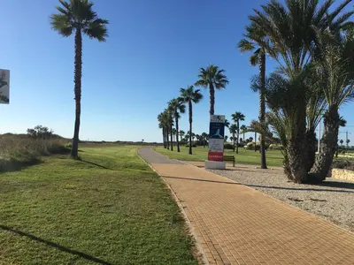 a brick path with palm trees and a sign at Atico Costa Ballena golf y playa parking&wifi in Costa Ballena