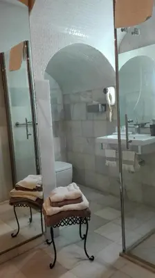 a bathroom with a shower and a toilet and a sink at Estudio Bizcocheros in Jerez de la Frontera
