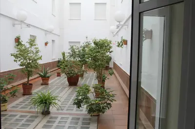 an empty corridor with potted plants in a building at Hotel Peña de Arcos in Arcos de la Frontera