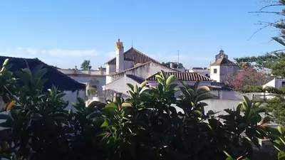a view of a white building with trees in the foreground at Piso en centro histórico in Jerez de la Frontera