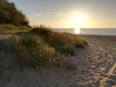 a sunset on a beach with flowers in the sand at Moderno Apartamento junto a la Playa in Sanlúcar de Barrameda