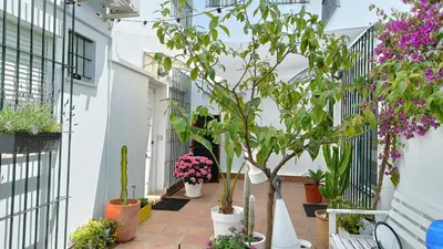 a courtyard with potted plants and trees at Moderno Apartamento junto a la Playa in Sanlúcar de Barrameda