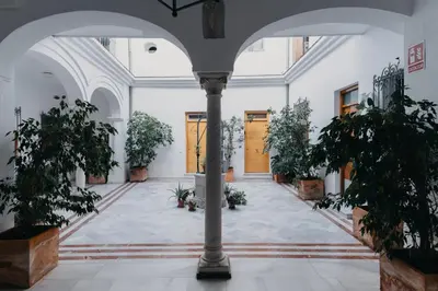 a hallway with potted plants and a yellow door at Casa Palacio -Sanlúcar- in Sanlúcar de Barrameda