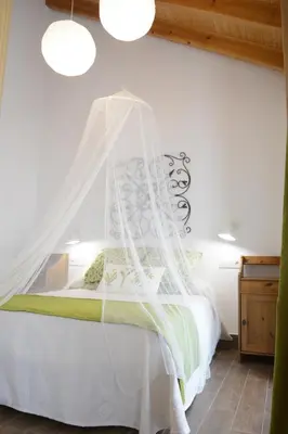 a bedroom with a bed with a mosquito net at Casa Rural Pueblos Blancos in Bornos