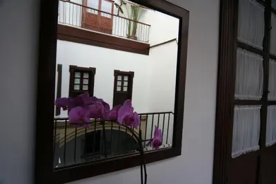 a window with purple flowers on a balcony at Hostal Palacio San Bartolomé in El Puerto de Santa María