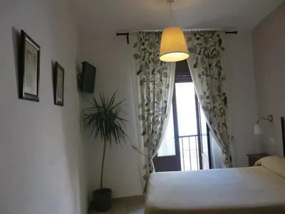 a bedroom with a bed and a window with a plant at Hostal Fenix in Jerez de la Frontera