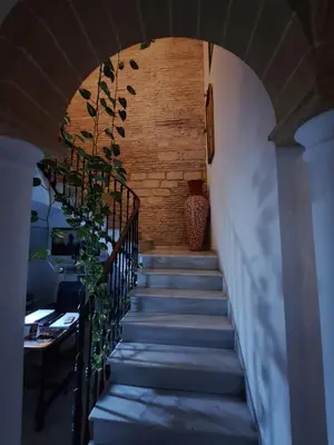a stairway with a bunch of plants on it at Hostal Fenix in Jerez de la Frontera