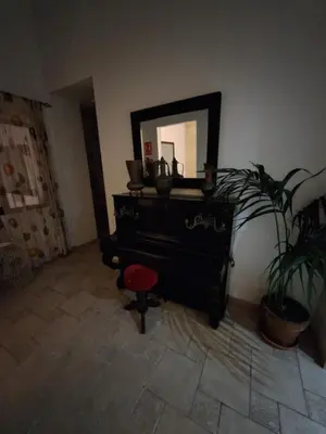 a room with a mirror and a dresser with a plant at Hostal Fenix in Jerez de la Frontera