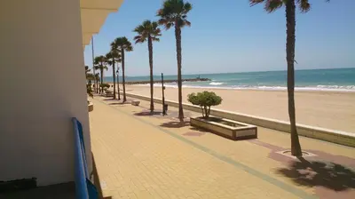 a view of a beach with palm trees and the ocean at Apartamento con Terraza,a 100m playa Costilla y Frente al Castillo in Rota