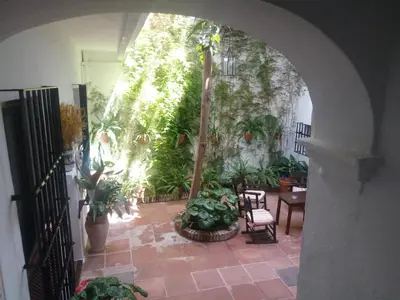 an archway with a bunch of plants in a room at Hostal Gran Capitan in Chipiona