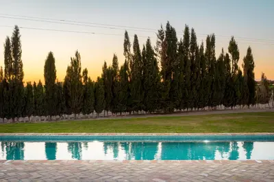 a pool in front of a line of trees at HACIENDA LAS MESAS - Luxury Villa Jerez in Jerez de la Frontera