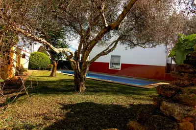 a tree in a yard next to a building at Los Candiles in Conil de la Frontera