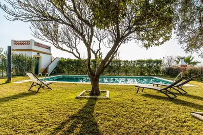a tree and two chairs next to a swimming pool at Vivienda Rural Olivar de San Telmo in Arcos de la Frontera