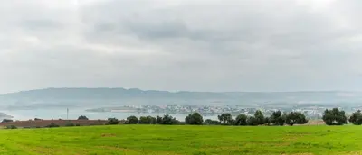 a green field with a city in the distance at Vivienda Rural Olivar de San Telmo in Arcos de la Frontera