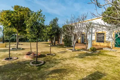 a house with trees in front of it at Vivienda Rural Olivar de San Telmo in Arcos de la Frontera