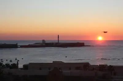 a bird flying over the ocean at sunset at OCEANO Family Home free parking by Cadiz4Rentals in Cádiz