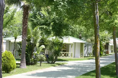 a house with palm trees in front of a street at Glamping -Bungalows El Faro in Conil de la Frontera