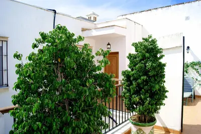 two trees in pots on a balcony of a house at Casa Palacio Luna in El Puerto de Santa María