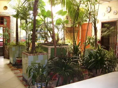 a room with palm trees and plants in it at Pensión San Andrés I in Jerez de la Frontera