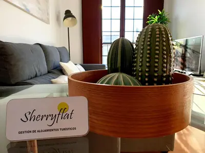 a pot of cactuses on a table in a living room at Sherryflat Fate in Jerez de la Frontera