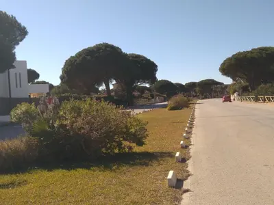 a road with trees on the side of the road at Chalet en Roche in Conil de la Frontera