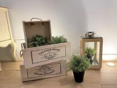 a couple of boxes with plants on the floor at No 14 Cádiz in Cádiz