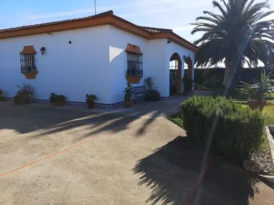 a white house with a palm tree in front of it at Chalet en Hozanejos RS in Chiclana de la Frontera