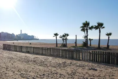 a beach with a wooden fence and palm trees at Hostal Avenida by Bossh! Hotels in Chipiona