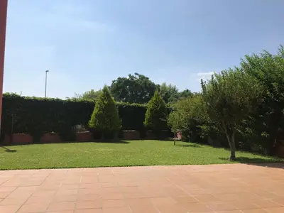 a park with a lawn with a tree and bushes at Casa Manzanilla in Sanlúcar de Barrameda