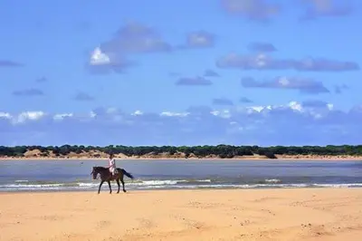 a person riding a horse on the beach at Casa Manzanilla in Sanlúcar de Barrameda