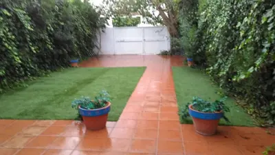 a garden with three potted plants on a patio at Chalet a 100m de la playa en El Puerto in El Puerto de Santa María