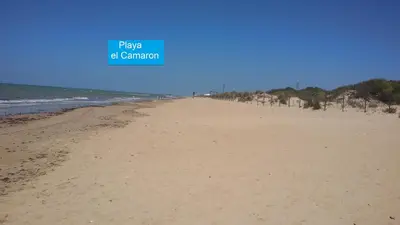 a screenshot of a cell phone with the words la pampa line be at La Pavona 11 - 1ª línea de Playa Chipiona in Chipiona