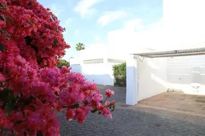 a bunch of pink flowers next to a white building at Apto en Residencial El Bosque in Chiclana de la Frontera