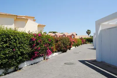 a sidewalk with flowers and bushes next to a building at Apto en Residencial El Bosque in Chiclana de la Frontera