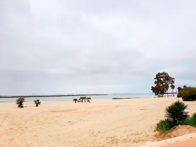 a sandy beach with trees and the ocean in the background at Pisoelpuerto in El Puerto de Santa María