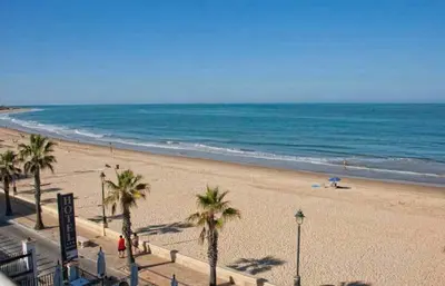 a beach with palm trees and the ocean at Reina Mercedes in Chipiona