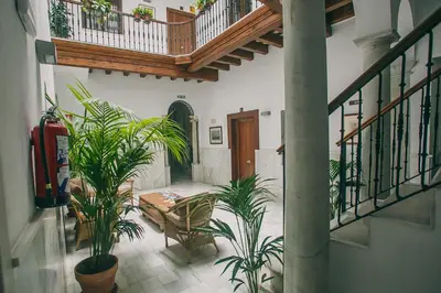 a hallway with plants and a wooden staircase at Apartamentos casa palacio in El Puerto de Santa María