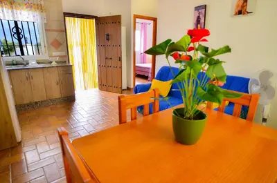 a dining room table with a plant on top of it at Casa Manoli in Conil de la Frontera