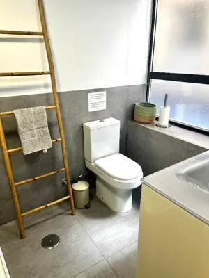 a bathroom with a toilet and a ladder next to a sink at Lofts Miriam in Cádiz