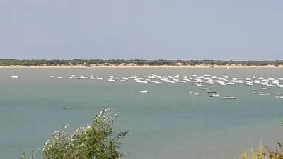 a flock of boats in a large body of water at La Pandorga in Sanlúcar de Barrameda