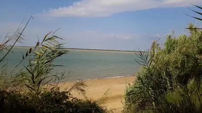 a view of a beach with the ocean in the background at La Pandorga in Sanlúcar de Barrameda