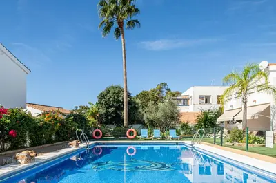 a swimming pool with a palm tree in the background at Apartamentos Los Olivos in Conil de la Frontera