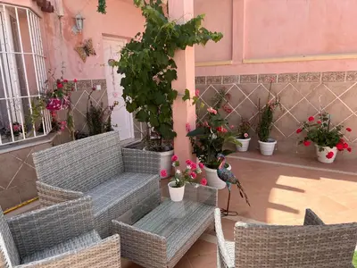 a bird sitting on a patio with chairs and potted plants at Palast Stieg Guest House in Jerez de la Frontera
