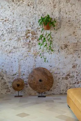 two chairs sitting in front of a wall with a plant at Casa Plaza San Antonio in Cádiz