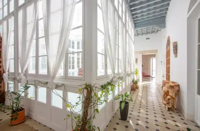 a hallway with large windows and potted plants at Casa Plaza San Antonio in Cádiz