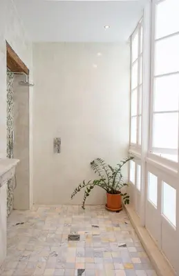 a bathroom with a potted plant and a window at Casa Plaza San Antonio in Cádiz