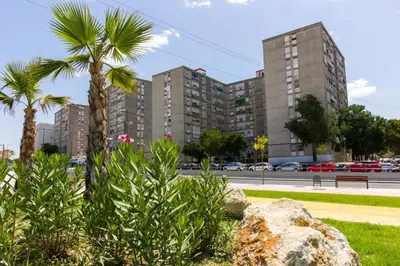 a park with palm trees and a large building at Casasjerezanas Mariposa in Jerez de la Frontera