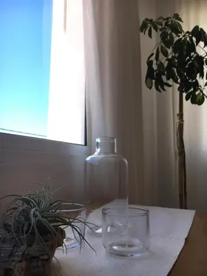 a glass bottle sitting on a table next to a plant at Casa Algaida in Sanlúcar de Barrameda