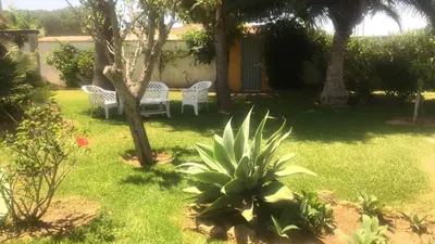 a yard with two white chairs and a tree at Macondo La barrosa in Chiclana de la Frontera