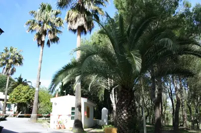 a wooden shed with a bench and a table at Bungalows y Glamping Medina Sidonia in Medina Sidonia